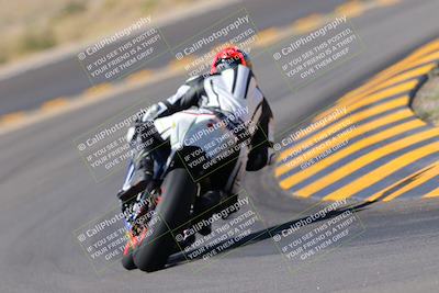 media/Oct-08-2022-SoCal Trackdays (Sat) [[1fc3beec89]]/Turn 11 Backside (1145am)/